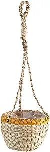 Creative Co-Op Hand-Woven Hanging Seagrass Planter with Plastic Lining, Natural & Yellow (Holds 4... | Amazon (US)
