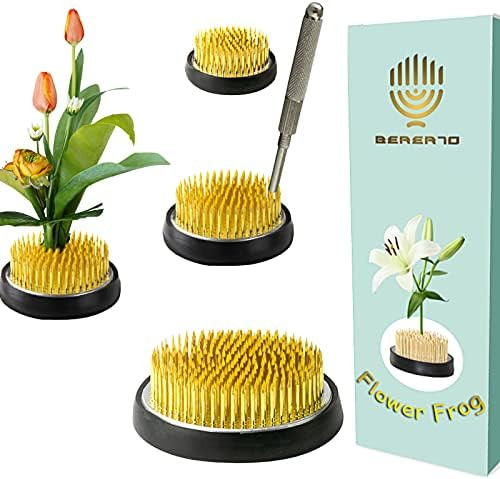 3 Pieces Floral Frog Flower Frog Round Floral Pin Frogs for Flower Arranging, 1Piece 2-in-1 Needl... | Amazon (US)