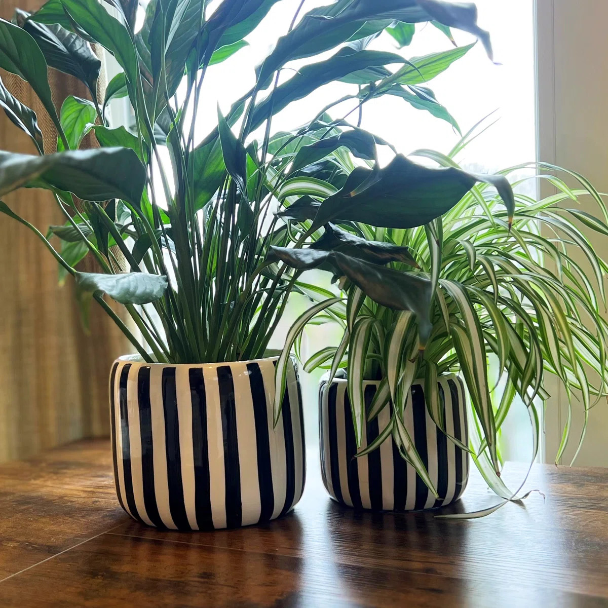 Bond Street Striped Planters | Wayfair North America