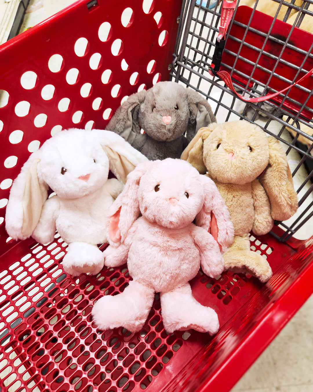 Gigglescape 11-Inch Bunnies

#targetdoesitagain #ilovetarget 

 #LTKKids