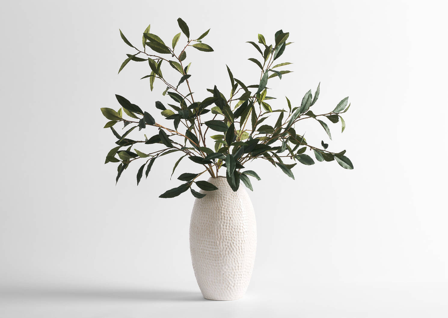 Abrell Vase & Elena Laurel Spray Branches | Urban Barn