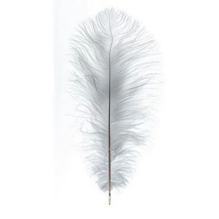 Ostrich Feathers - Plume - White - 5 to 8 inches - 2 pieces (dar101957) | Walmart (US)
