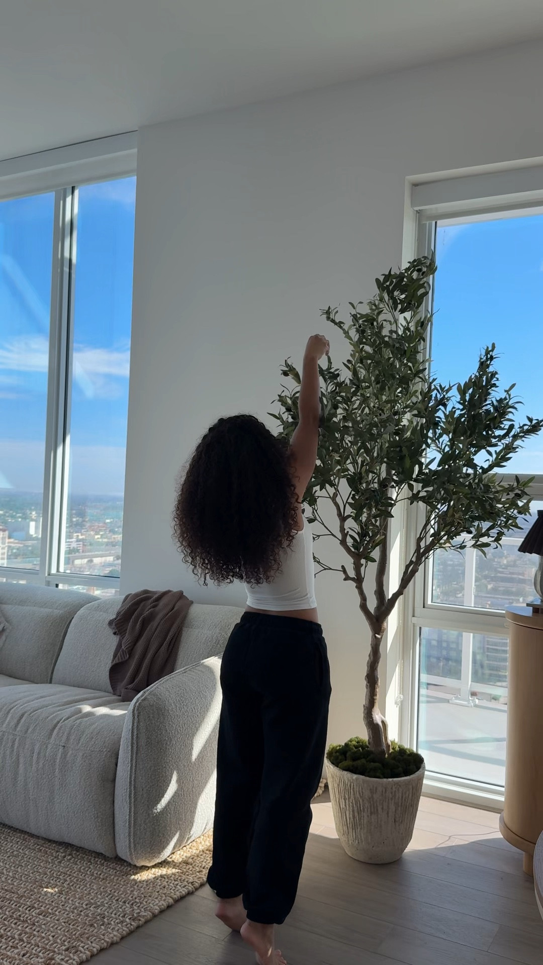 if you’re looking for a faux plant that looks real, this is the one! this is a faux olive tree

house plant, house tree, plant, home decor, olive tree