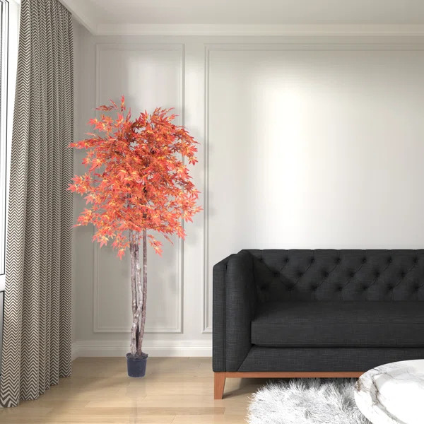 Maple Tree in Basket | Wayfair North America