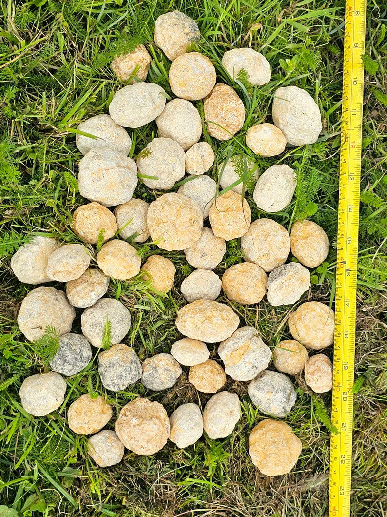 Unbroken Quartz Crystal Geodes - Etsy | Etsy (US)