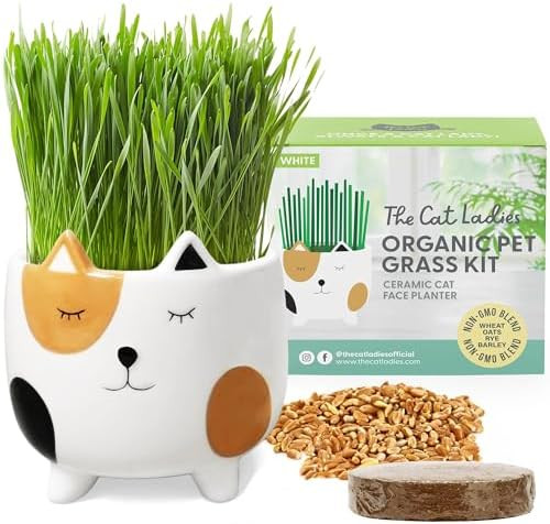 The Cat Ladies Cat Grass for Indoor Cats, Cat Grass Growing Kit with Organic Cat Grass Seed Mix, ... | Amazon (US)