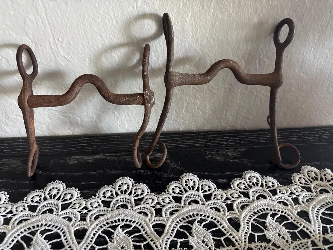 Antique Rustic Iron Horse Bits – Set of 2 | Primitive Western Farmhouse Decor Salvaged Equestri... | Etsy (US)