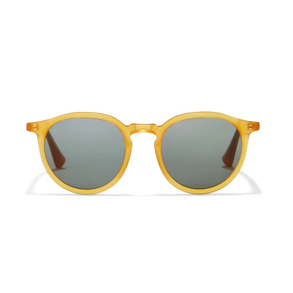 Pembridge Sunglasses | Taylor Morris Eyewear (UK)