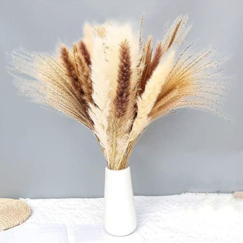 Amazon Fall Decor | Amazon (US)