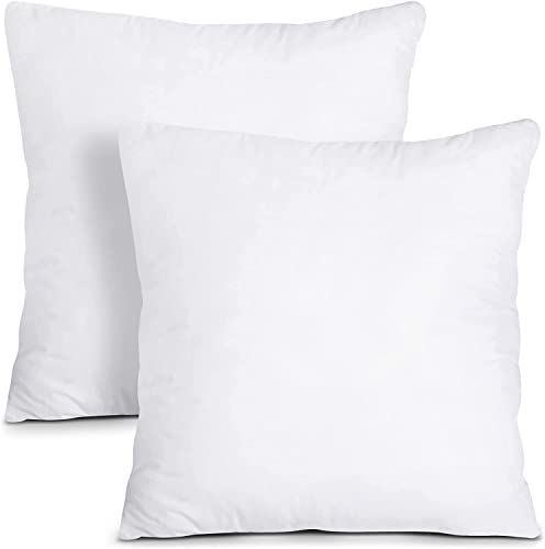 Utopia Bedding Throw Pillows Insert (Pack of 2, White) - 14 x 14 Inches Bed and Couch Pillows - I... | Amazon (US)