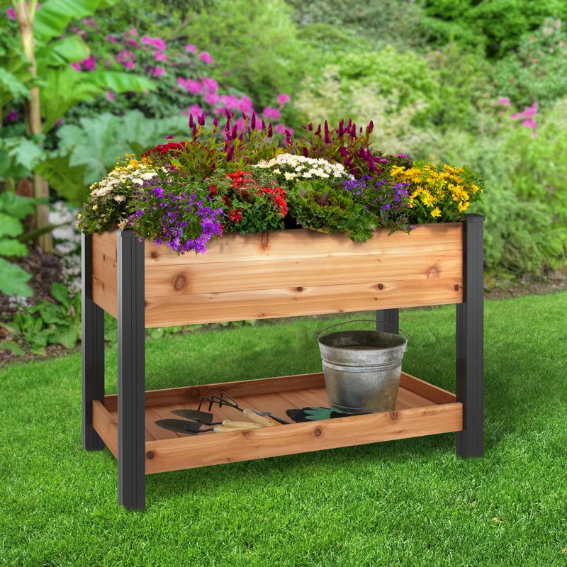 Arlmont & Co. Wood Elevated Planter | Wayfair | Wayfair North America