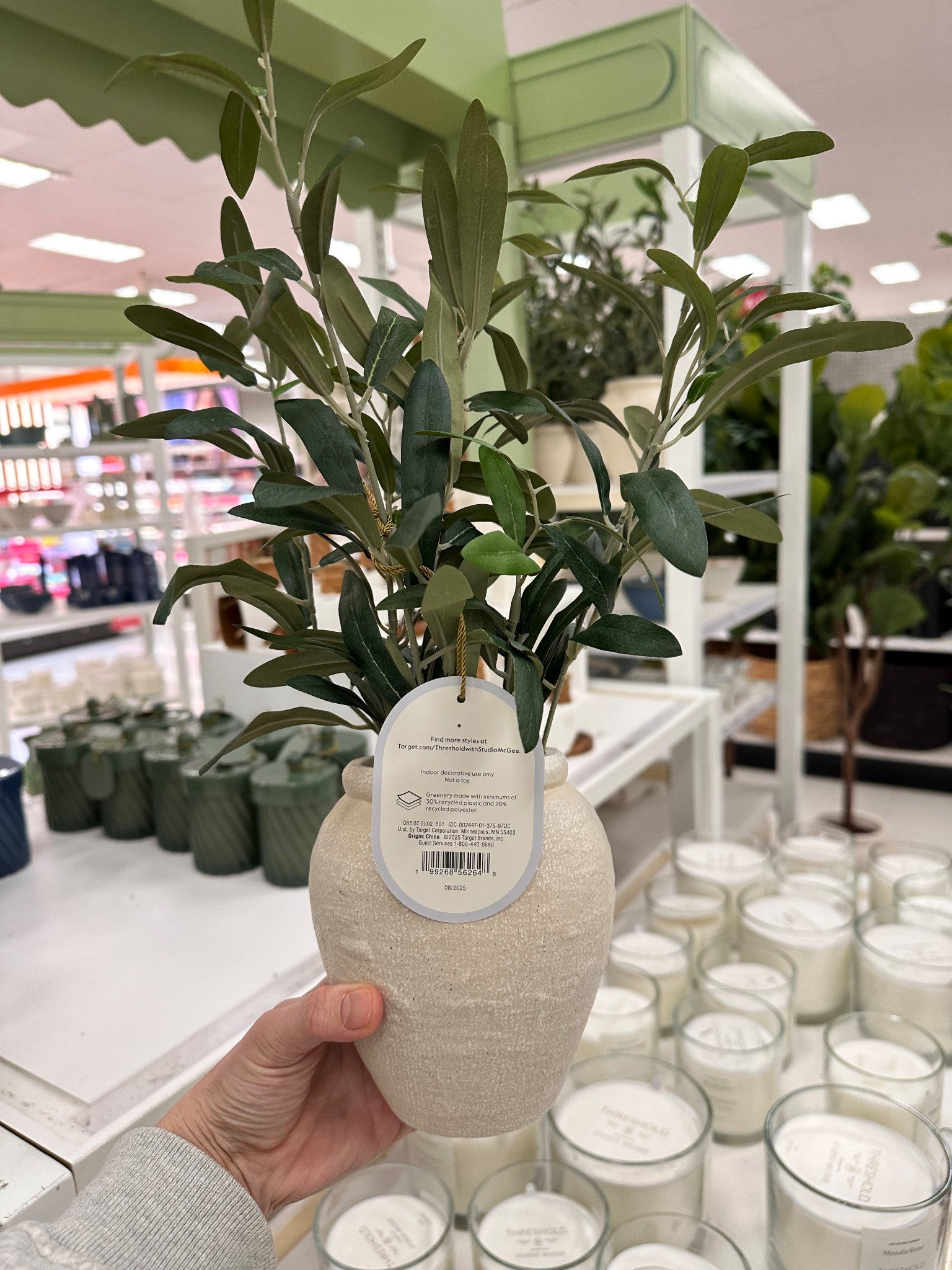 Home plant decor. 

#LTKHome #LTKdayinmylife #LTKSeasonal