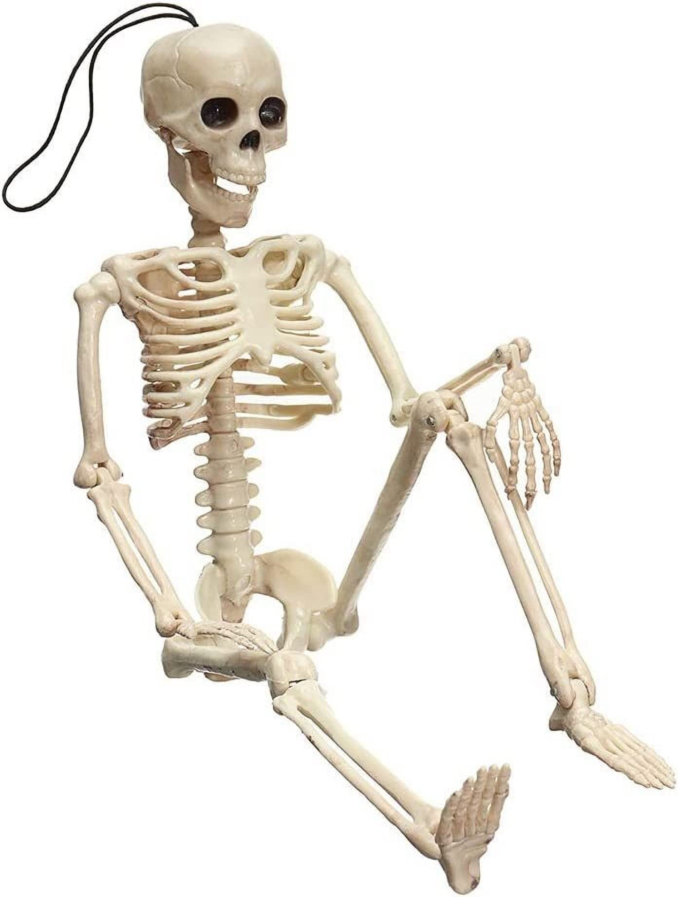 Eoaod Halloween Skeletons, Skeleton Halloween Decorations Clearance, 16" Posable Hanging Halloween S | Amazon (US)