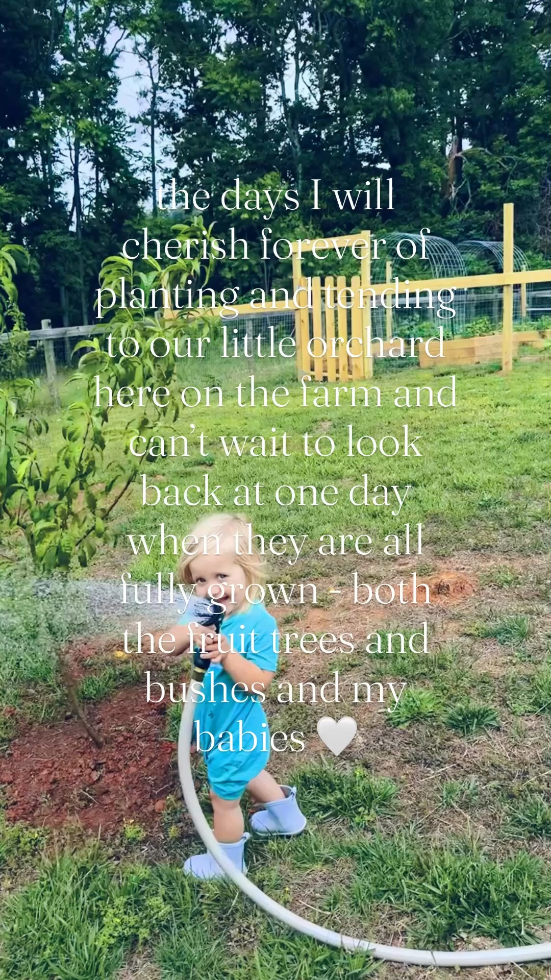 The sweetest days I know I’m going to cherish forever of my babies so little while getting to plant our roots and dreams here on the farm with our family so young - such a gift from God it all is!!! 🌳💦👶🏼🍎🌱🍑🪴🌾 #ourlittleorchard #farmsweetfarm #foreverhome #babiesandland #plantingourroots