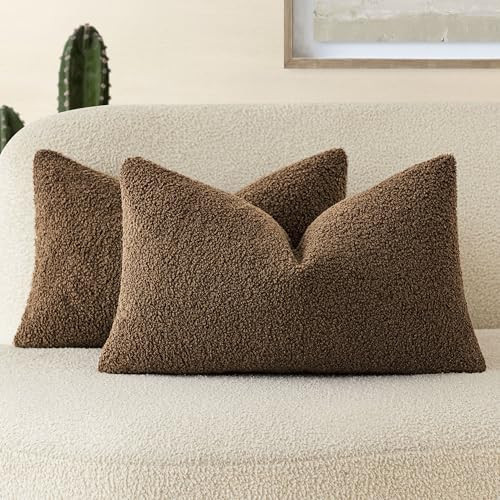Foindtower Pack of 2, Curly Faux Fur Decorative Throw Pillow Covers Soft Fuzzy Plush Cushion Case with Zipper Cozy Pillowcase for Home Living Room Couch Bed Sofa 12 x 20 Inch,Dark Brown | Amazon (US)