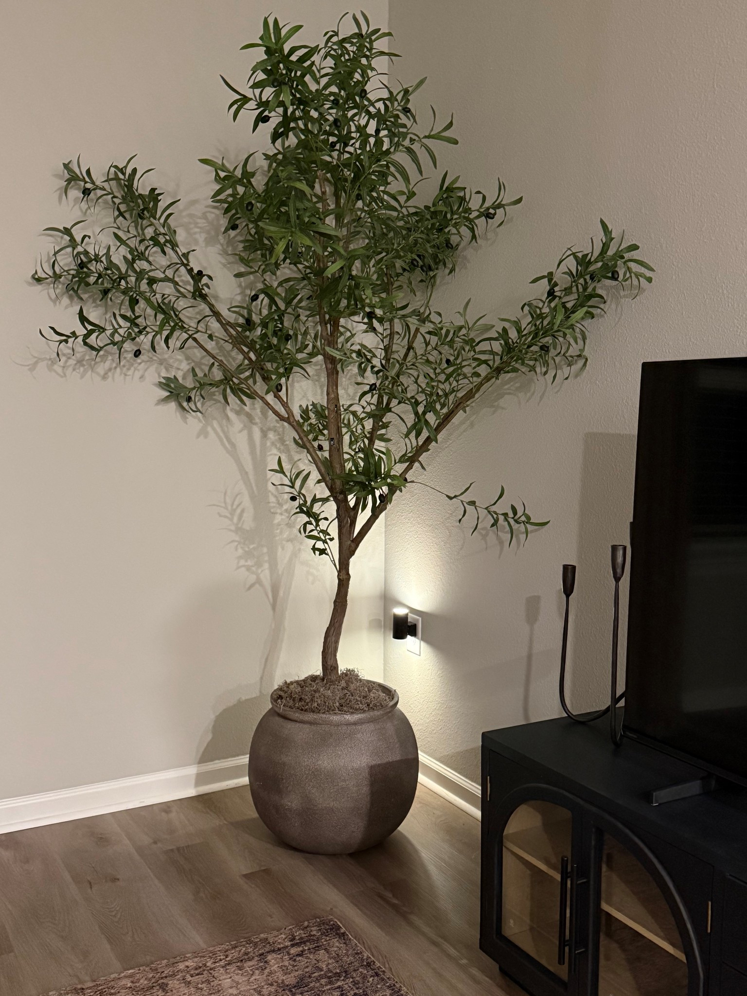Post holiday refresh with one of my favorite olive trees! So full, so realistic! 

Faux tree, Amazon home finds, Amazon lighting, living room, bedroom, post
Holiday refresh, faux olive tree 

#LTKFindsUnder100 #LTKSaleAlert #LTKHome
