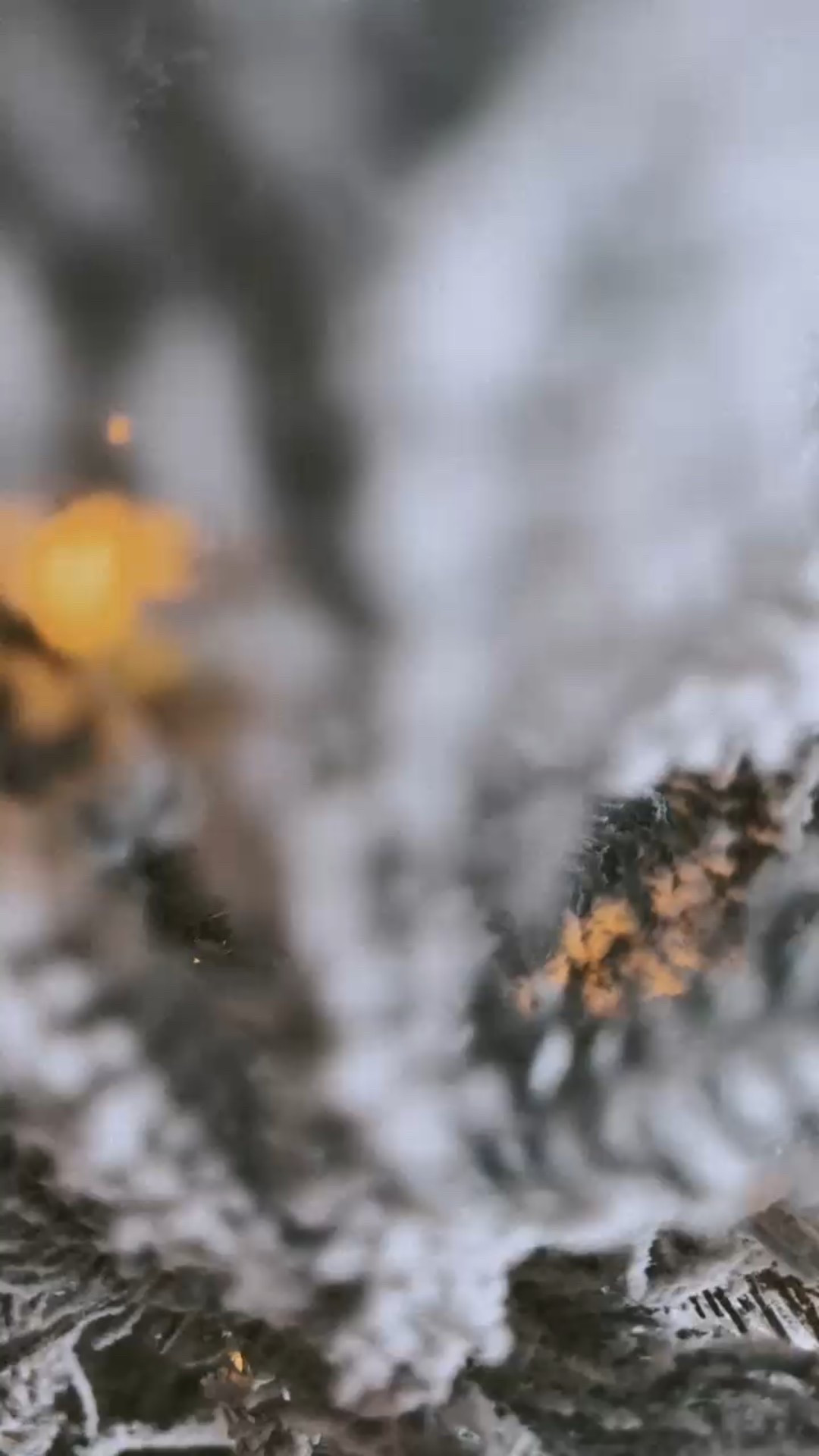 my viral Home Depot Christmas tree is $50 off! 

#LTKSeasonal #LTKHoliday #LTKHome