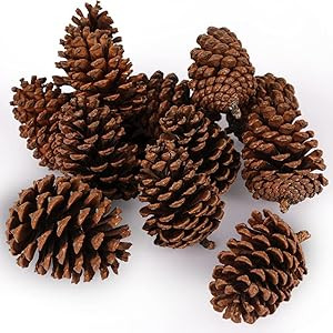 JOHOUSE 3.5-5Inch Natural Pine Cones, Large Pinecone,Christmas Natural Pinecone Ornaments Big Pin... | Amazon (US)