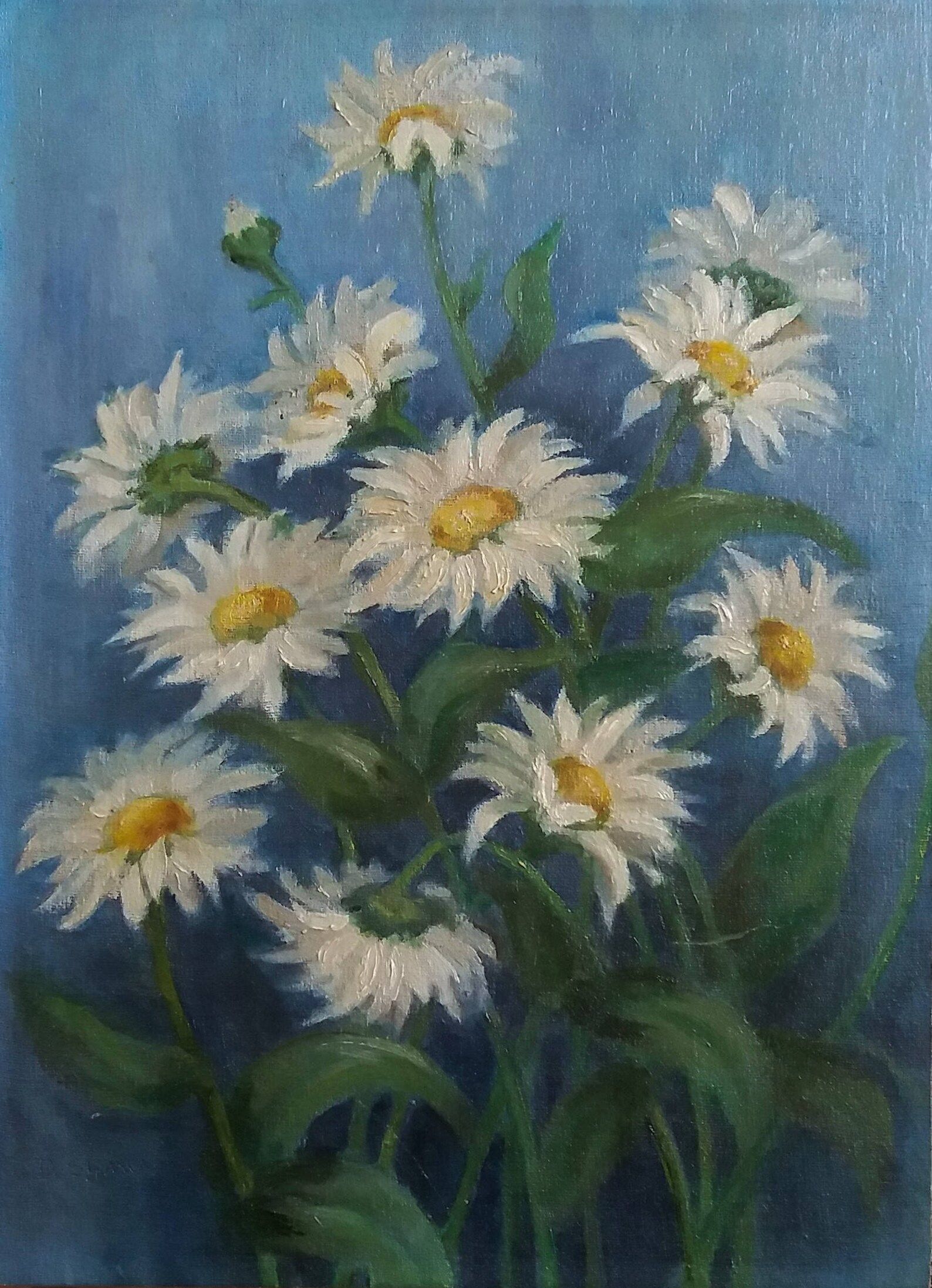 Daisy Flowers  (Michaelmas Daisies) Original Oil Painting. Signed By Artist D. Shaw, Canvas Mount... | Etsy (US)