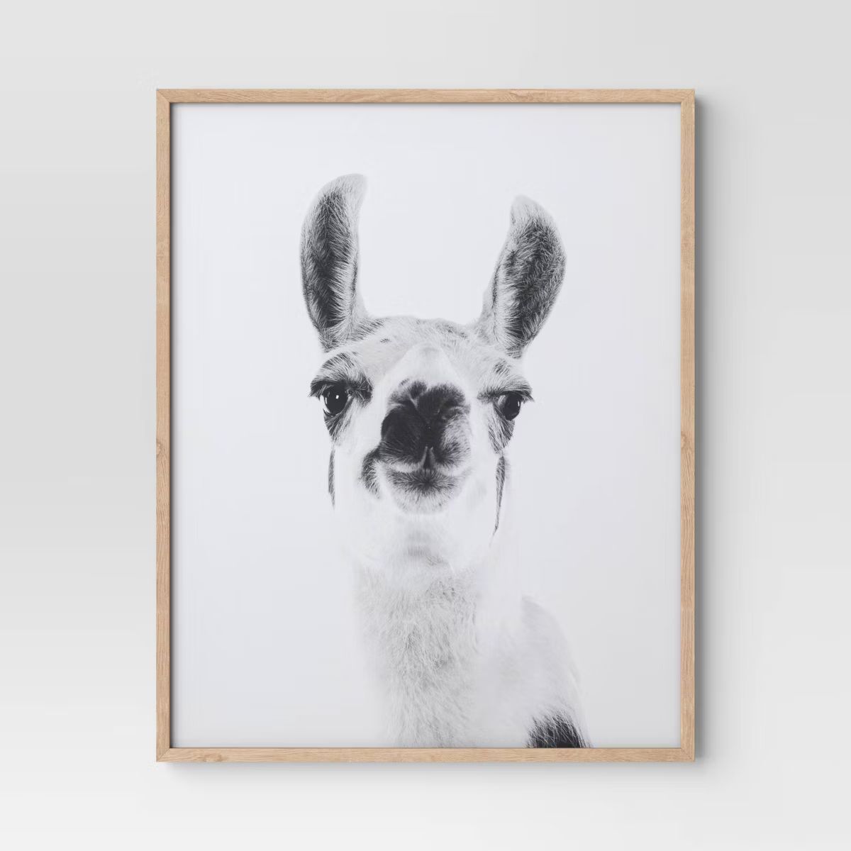 16"x20" Llama Framed Dorm Wall Art - Room Essentials™ | Target