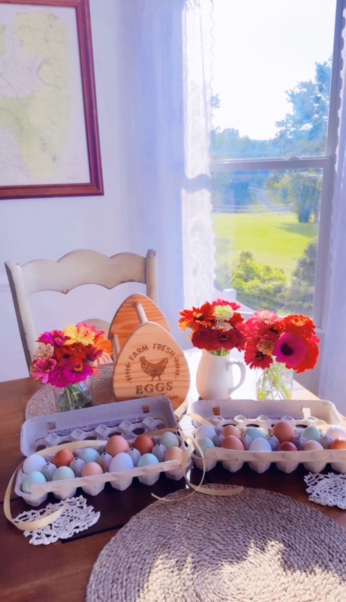 l i v i n ‘  o u r  f a r m  s w e e t  f a r m  d r e a m  c o m e  t r u e  t h e s e  d a y s 🎞️🐓🧺💐🥚🌼🪻🌸🏡🫶🏽💭📖⚾️🧢🦌🥣🌞#saturdaymorningcameraroll  #lifelately #farmdreamcometrue #themabryfarm #homegrownkindalife