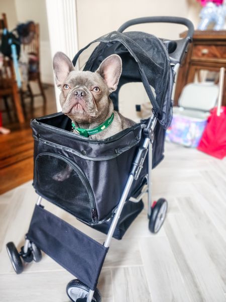 My Frenchie is ready to go for a walk. It's too hot for his little feet out there but I need to get my steps in! #livinglargeinlilly #dogmom #frenchbulldog #dogstroller 

#LTKhome #LTKfamily #LTKtravel
