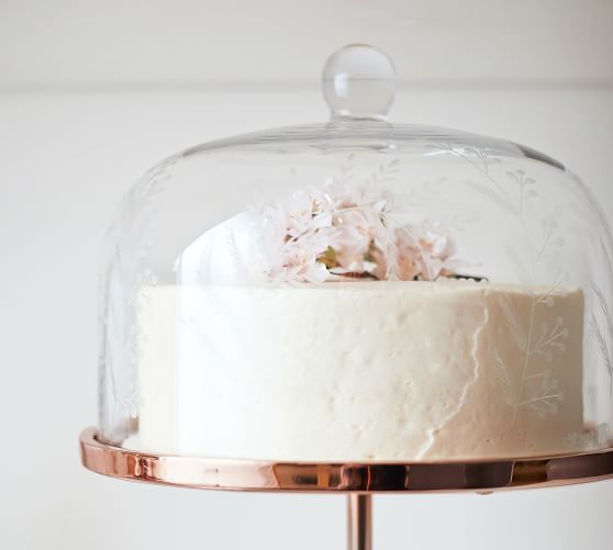 Monique Lhuillier Gabrielle Etched Glass Cake Dome | Pottery Barn (US)