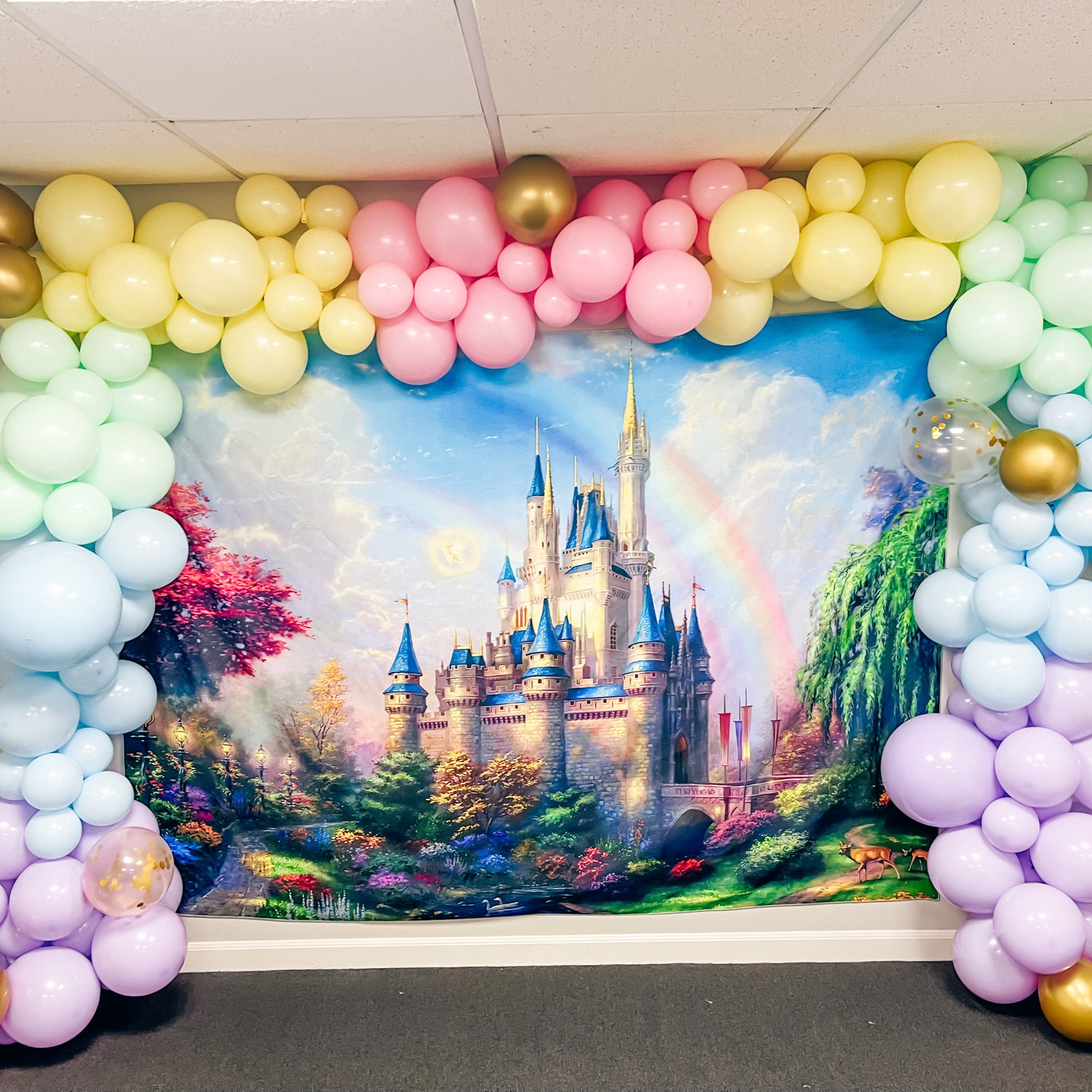 Princess party backdrop! #diy #princessparty