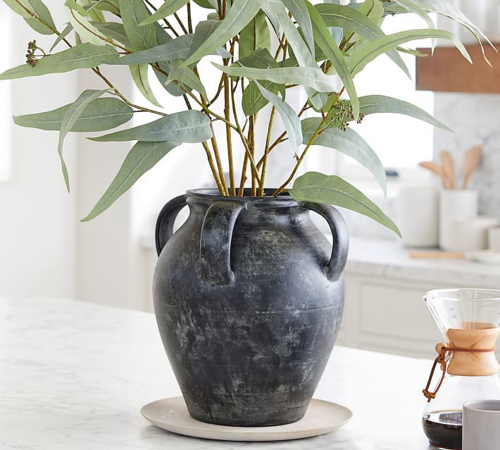 Get the Look: Dreamy Eucalyptus Branch & Rustic Vase | Pottery Barn (US)