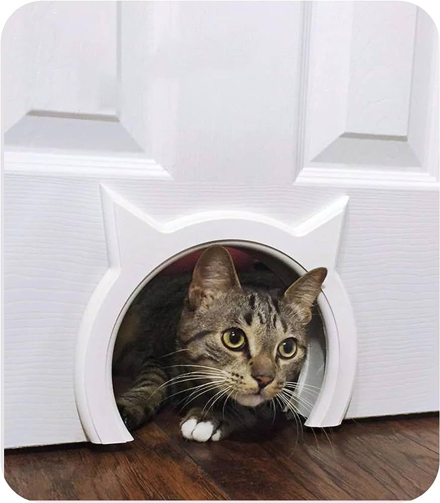 The Kitty Pass Interior Cat Door Hidden Litter Box Pet Door for Cats up to 21 lbs Pet Box | Amazon (US)