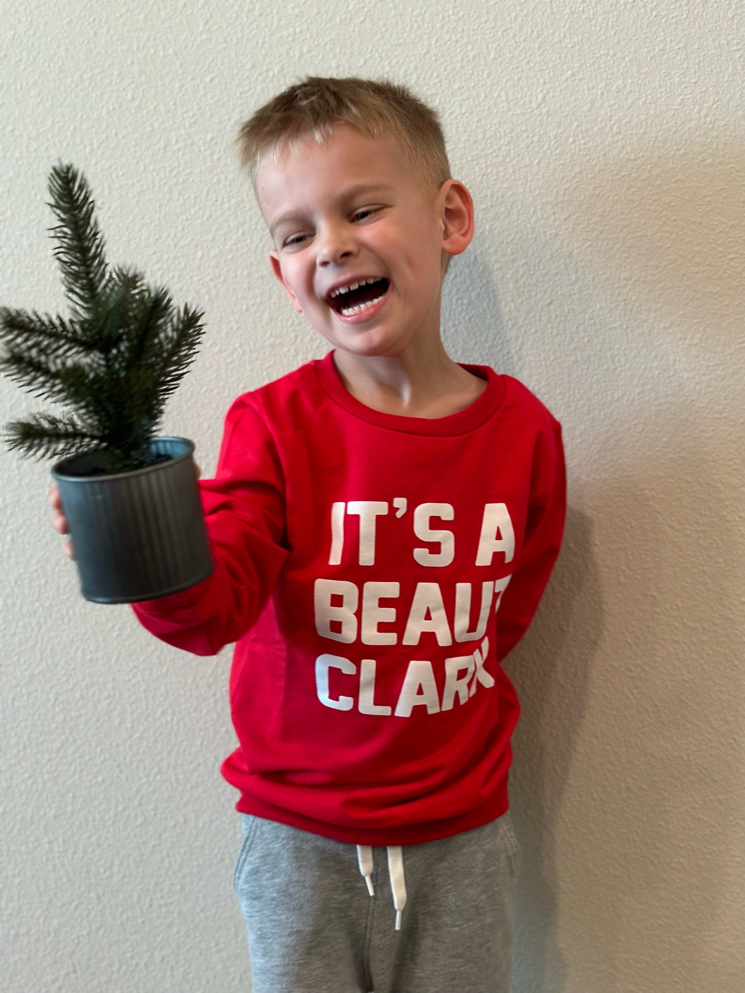 Perfect crew neck sweatshirt for the kids to wear when you decorate / pick out your tree! 🎄

#LTKkids #LTKHoliday #LTKSeasonal
