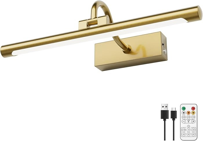 Aipsun 15.7" Brass Picture Lights for Wall Rechargeable,10000mAh Battery Operated Art Light for P... | Amazon (US)