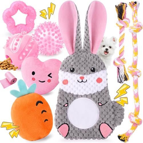 Zeaxuie Pink Puppy Toys for Teething, 9 Pack Small Dog Toys with Cute Puppy Chew Toys, Squeaky Crinkle Dog Toys, Treat Ball and Interactive Rope Toys | Amazon (US)