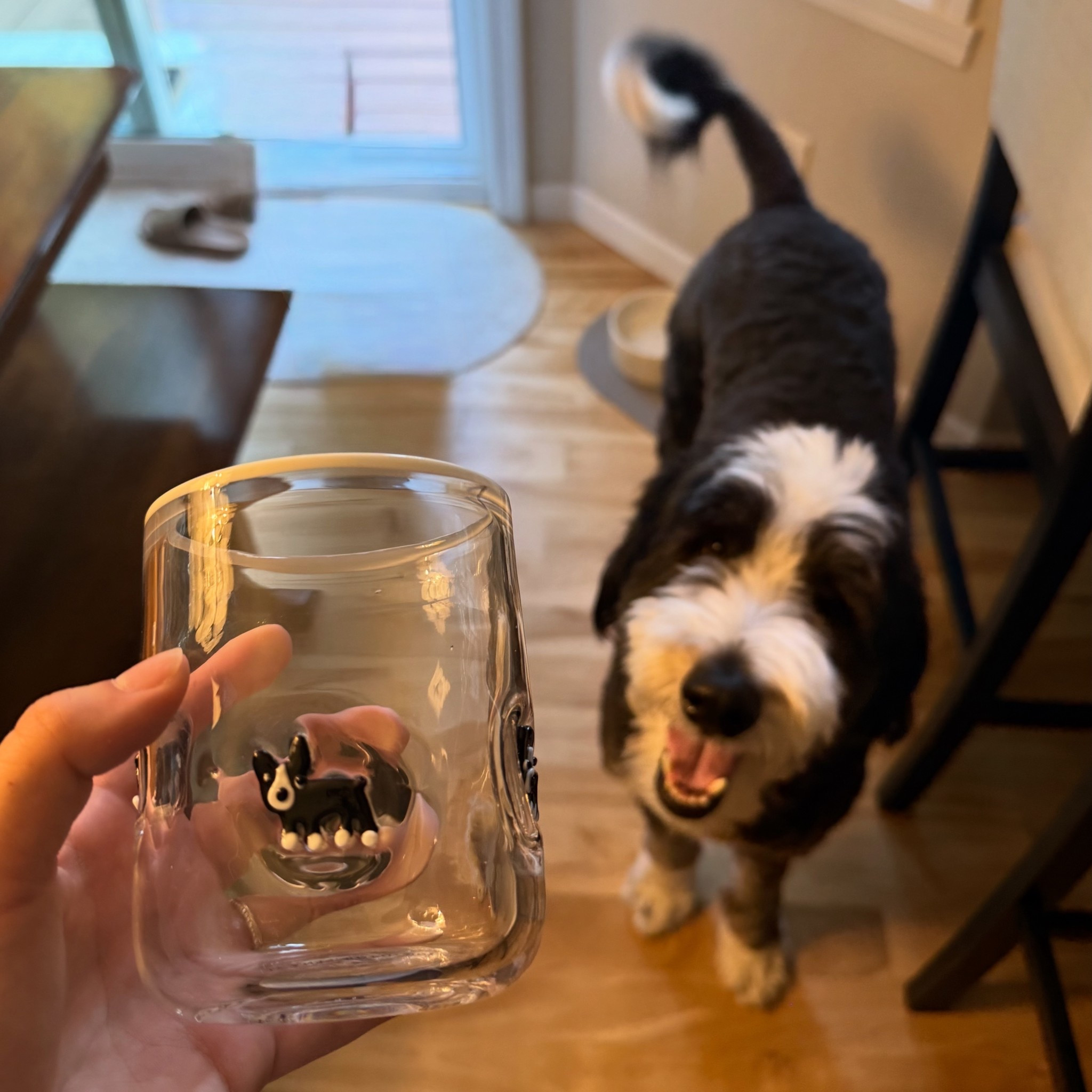 Bernedoodle moms, these glasses are for you 🙌

#LTKFamily #LTKPets