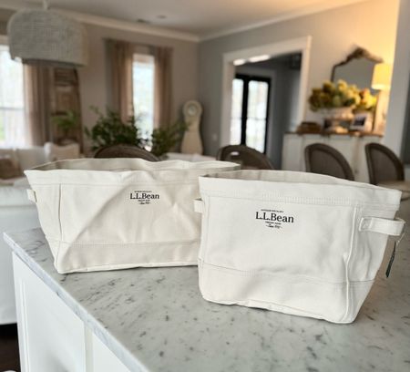 LL Bean Canvas Totes. These are perfect for car organization. 
