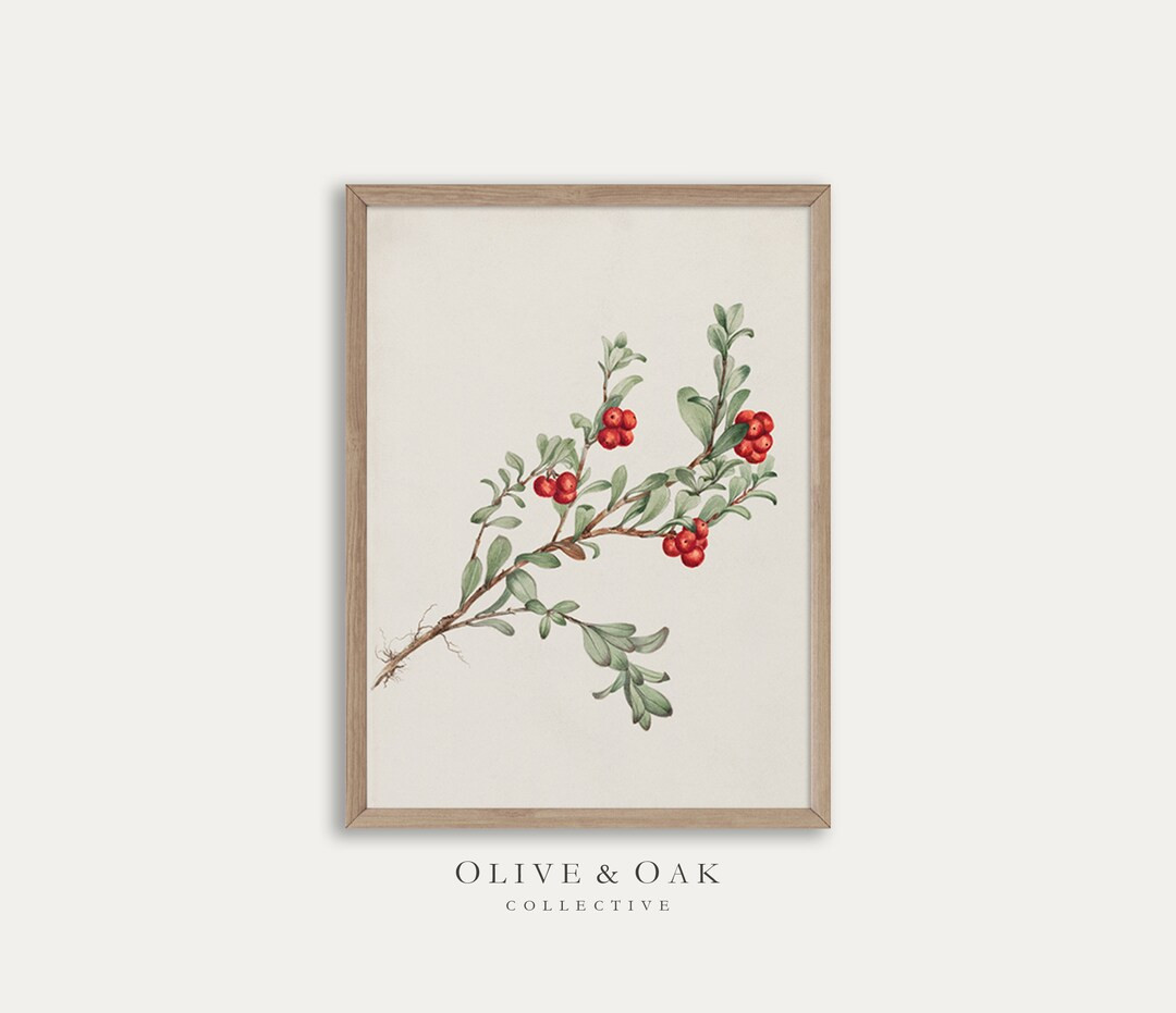 Winter Botanical Drawing Print / Vintage Farmhouse PRINTABLE - Etsy | Etsy (US)