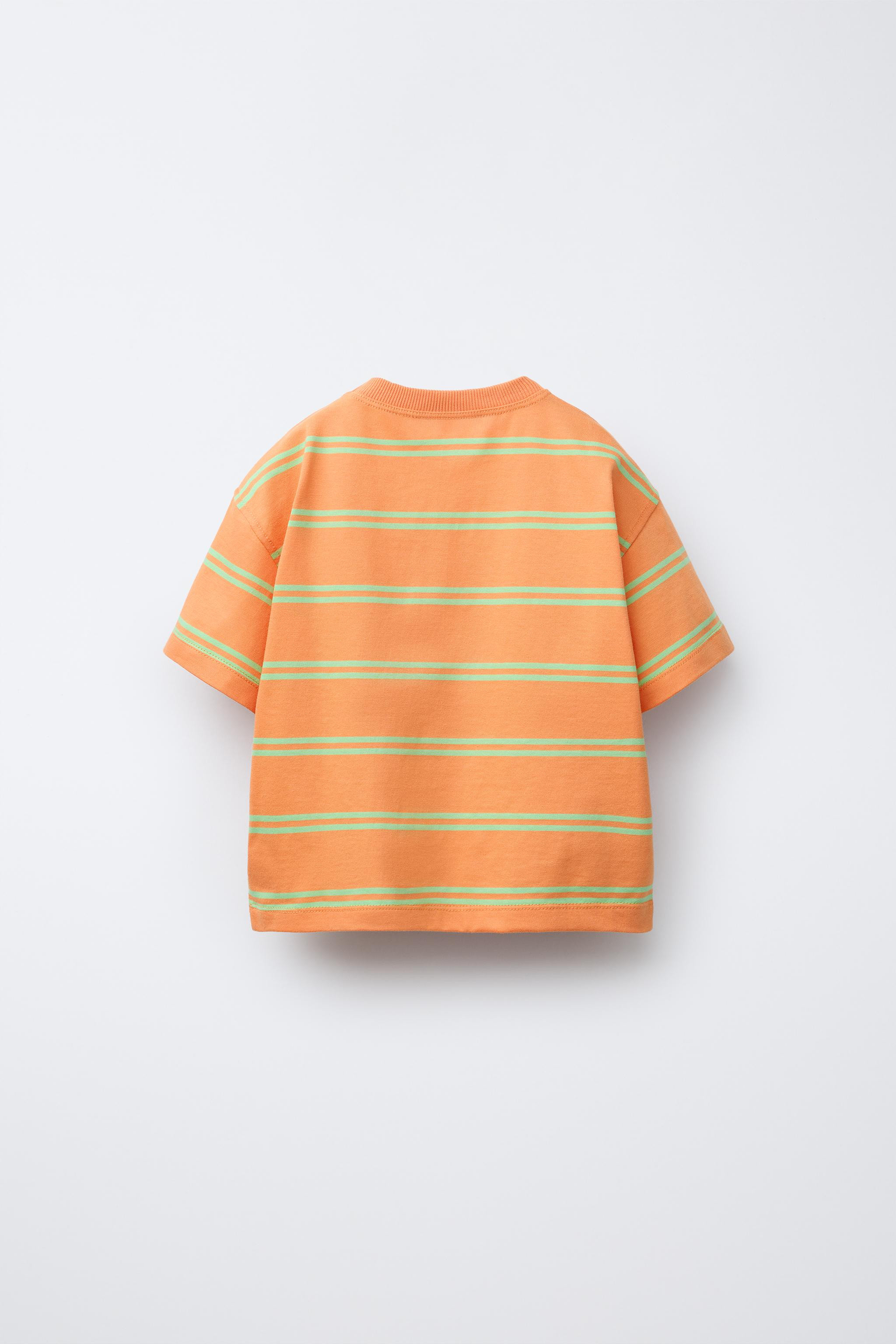 BOBBY SMALL © STRIPED T-SHIRT | Zara US