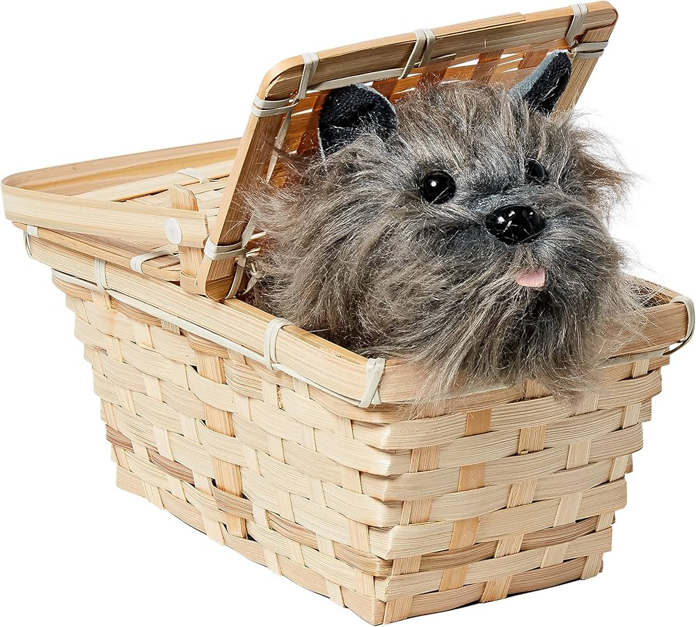 Rubie's Wizard of Oz Dorothy's Toto In A Basket Costume Accessory, 10 x 7 x 5 inches | Amazon (US)