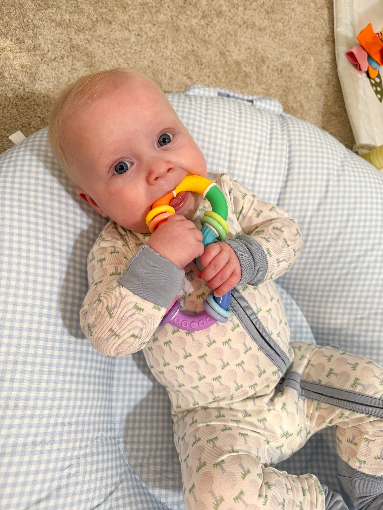 It’s Golf Season! And Hamner Hill has the sweetest pajamas that are not only golf themed but they also have bunnies, crosses, baseballs and any puppy you can imagine!

Toddler Pajamas
Baby Pajamas
Golf
Masters
Masters Outfit
PGA
Golf Outfit
Baseball Pajamas
Bamboo Pajamas

#LTKKids #LTKBaby #LTKFindsUnder50