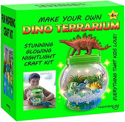 Make Your Own Light-Up Dinosaur Terrarium Kit for Kids and DIY Dinosaur Painting Kit, Gifts for K... | Amazon (US)