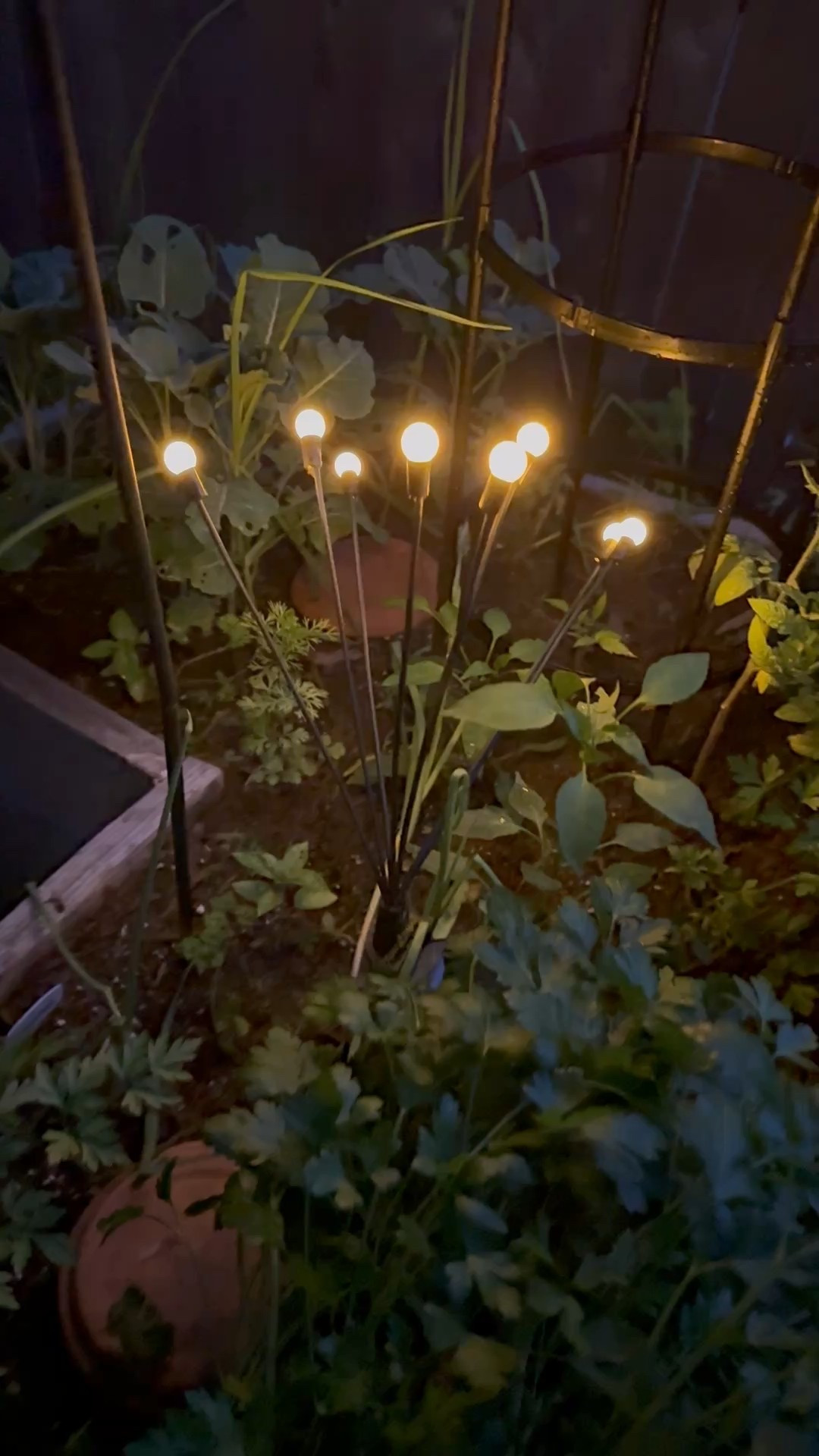 My garden fairy lights 🧚🧚‍♀️🧚🏼‍♂️

Outdoor lighting, outdoor lights, deck lights, garden lights, twinkle lights, garden lighting, lamp, nightlight, pathway lighting, path light, solar lights, solar