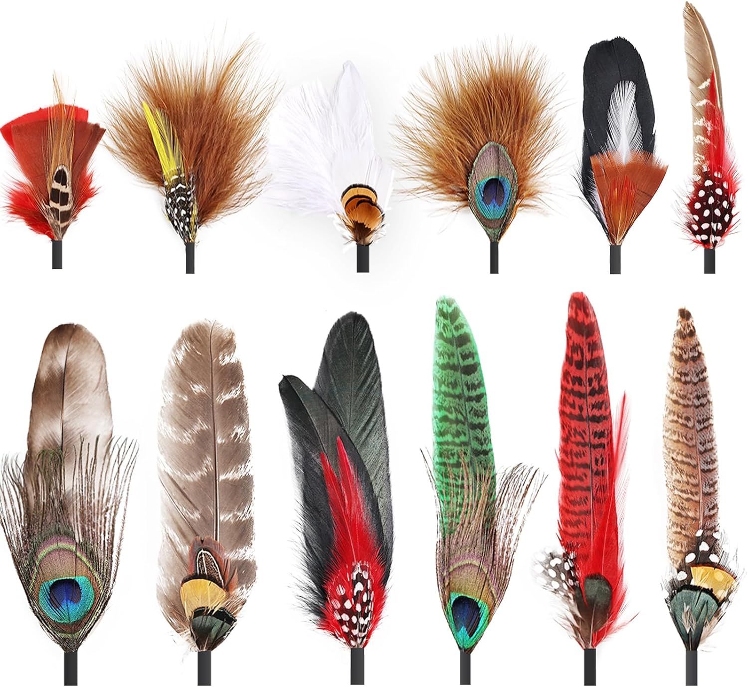 iHUFeather 12Pcs Hat Feathers, Assorted Natural Feathers for Hats Colorful Real Feathers Pin for ... | Amazon (US)