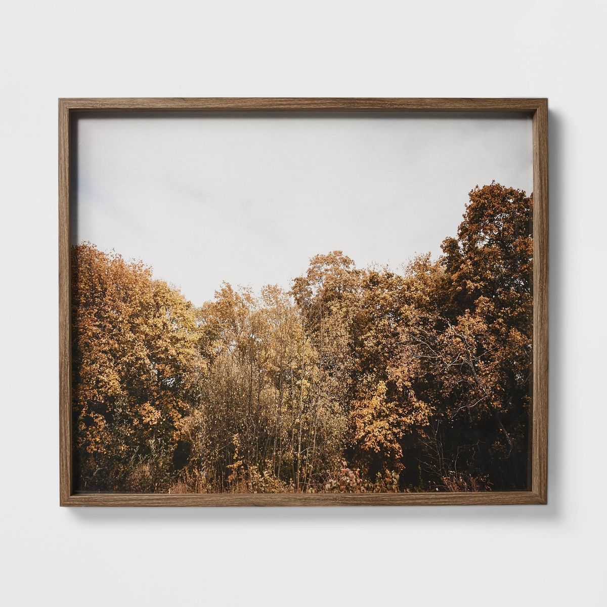 36" x 30" Golden Forest Framed Wall Art - Threshold™ designed with Studio McGee | Target
