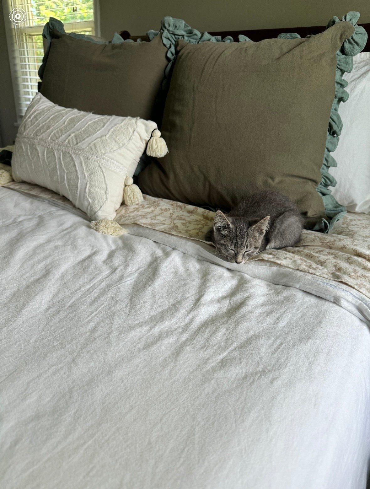 My bedding favorites🥰 couldn’t find the link to the cream pillow anywhere, but I linked some other favs!

#LTKdayinmylife #LTKHome #LTKFindsUnder100