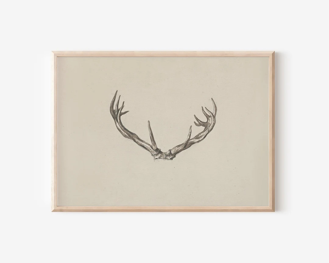 Vintage Deer Antlers Sketch Print Downloadable Prints PRINTABLE Wall Art Digital Artwork Digital ... | Etsy (US)