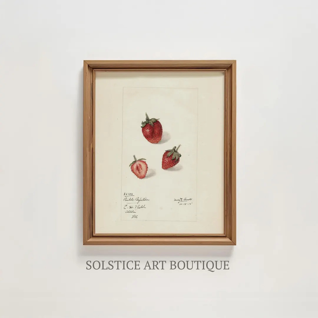 Vintage Strawberry Sketch | Neutral Botanical Drawing | Printable Vintage Kitchen Drawing | Farmh... | Etsy (US)