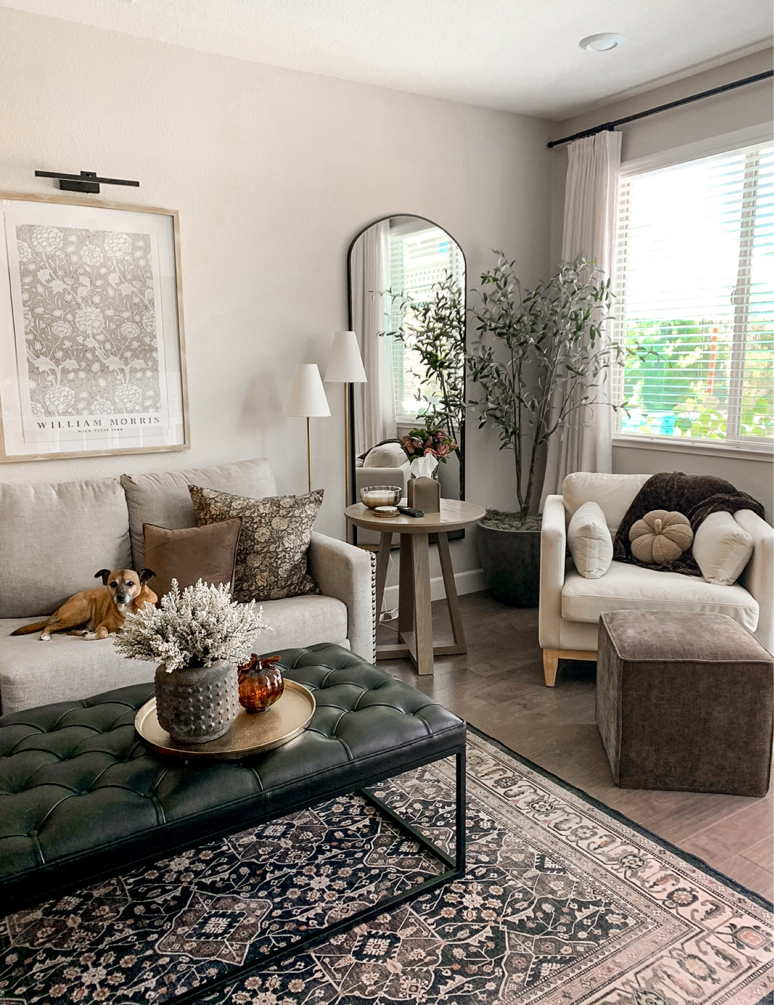 Rug | Fall Decor | Fall | living room | fall home decor 

#LTKSeasonal #LTKHome