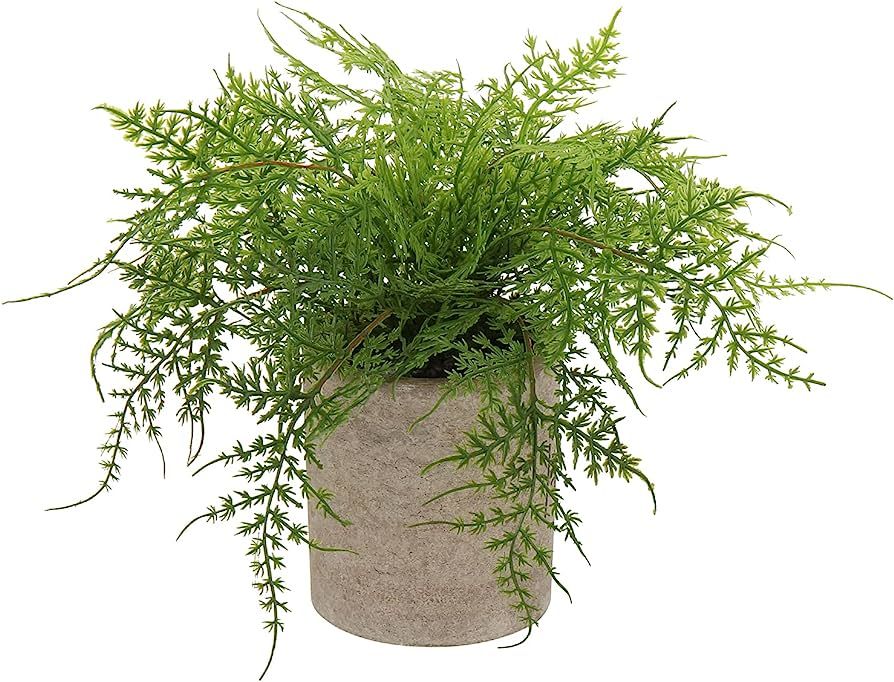Briful Small Fake Plant Potted Plants Artificial Decor Silk Asparagus Ferns Plant Faux Plants in ... | Amazon (US)