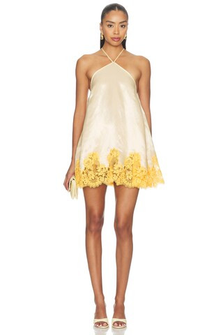 Anahi Mini Dress
                    
                    Camila Coelho | Revolve Clothing (Global)