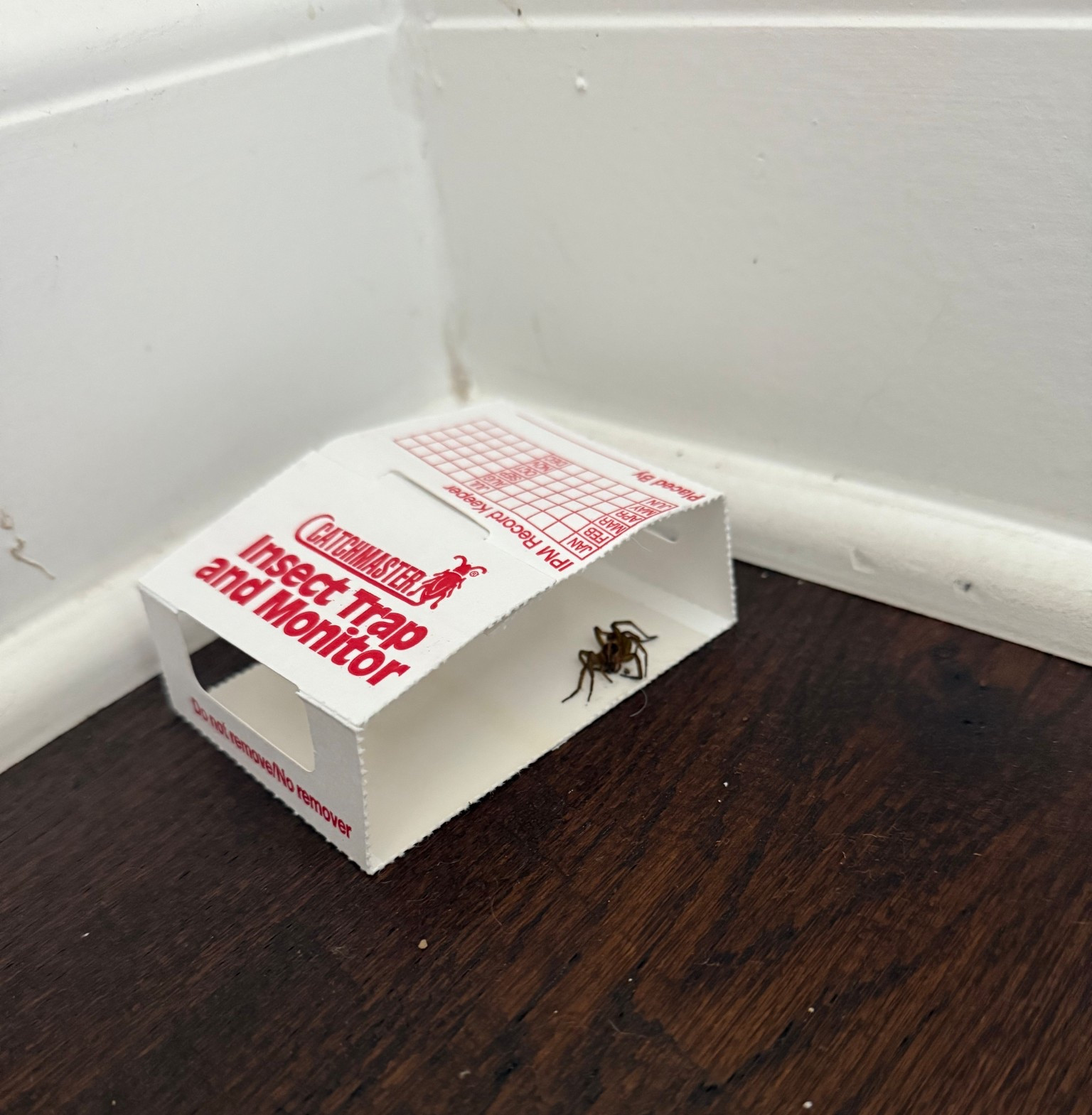 best spider catcher bug trap home 

#LTKFindsUnder50 #LTKHome